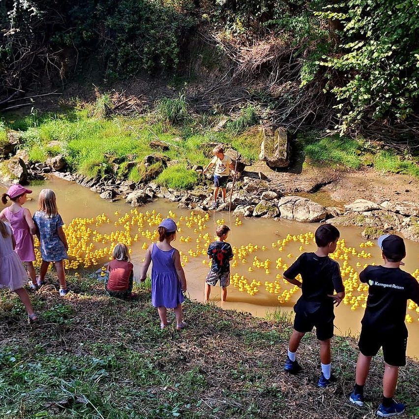 Bild enthält, Vegetation, Person, Walking, Hiking, Rainforest, Jungle, Pond, Wilderness, Woodland, Shorts