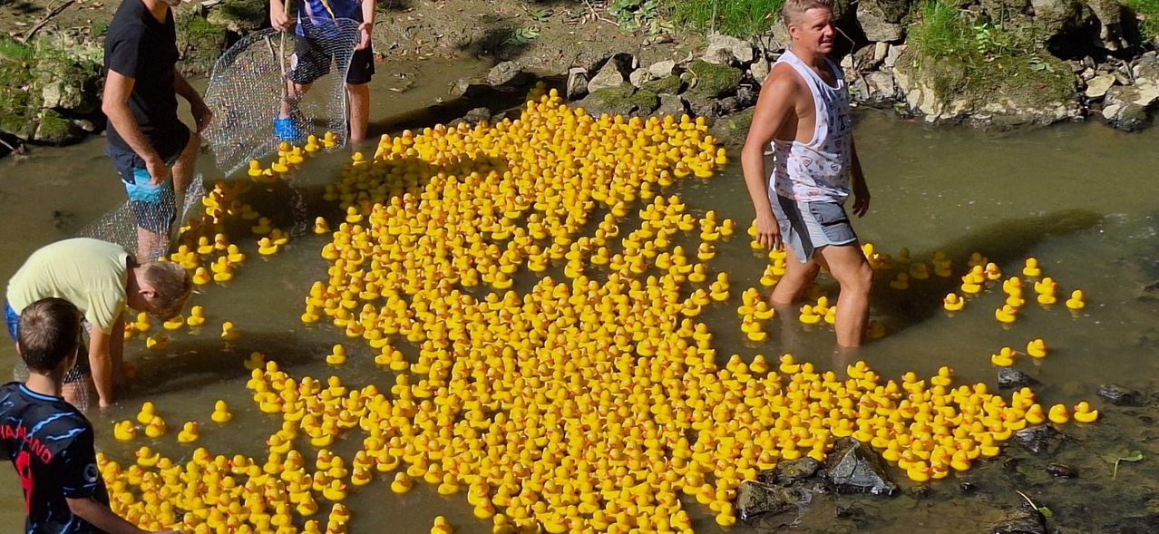Bild enthält, Shorts, Flower, Petal, Vegetation, Summer, Photography, Person, Portrait, Outdoors, Child
