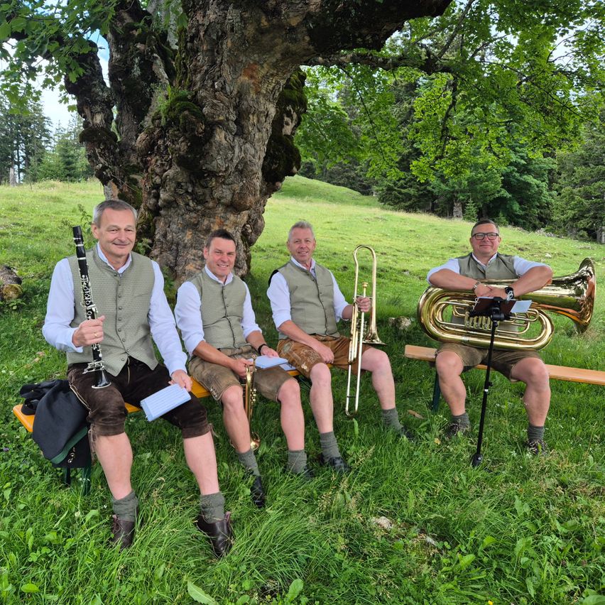 Blasmusikgruppe mit Klarinette und Tuba spielt im Grünen unter einem Baum