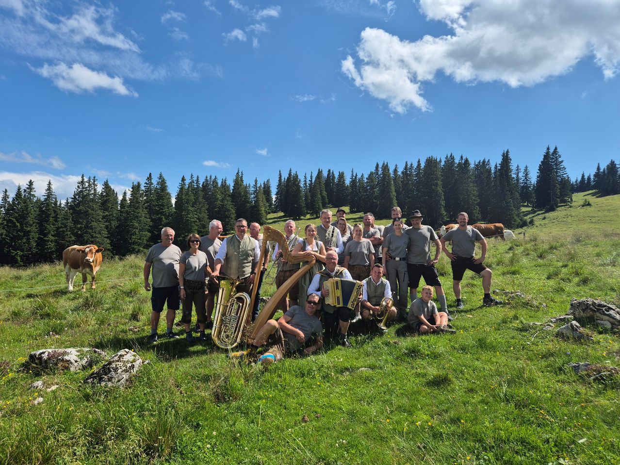 Volksmusikgruppe mit Instrumenten auf Almwiese in den österreichischen Alpen