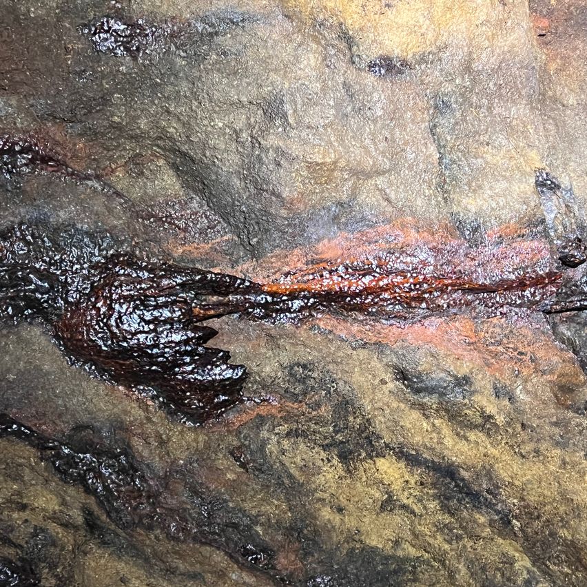 Eine Nahaufnahme eines Felsens mit dunkelbraunen Streifen und Flecken, möglicherweise auf Mineralablagerungen hinweisend.