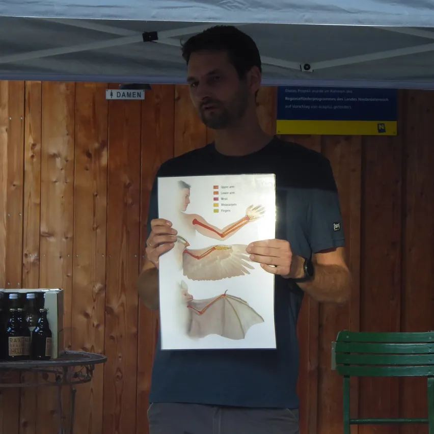 Ein Mann hält ein Poster mit einem Diagramm der Flügelstruktur einer Fledermaus.