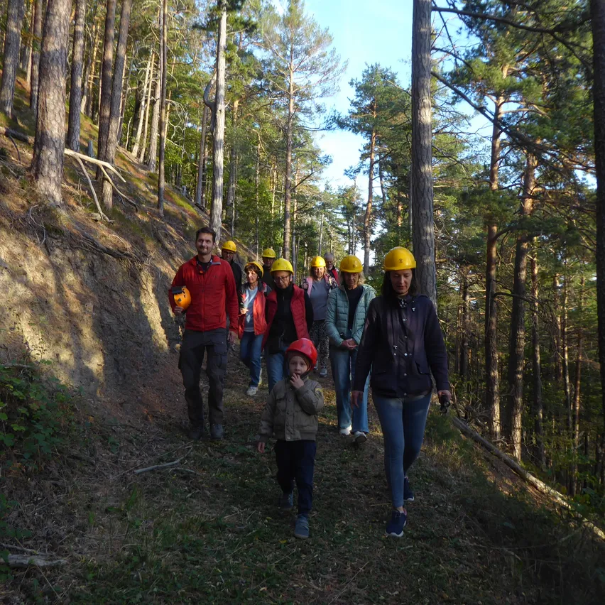 Eine Gruppe von Menschen geht auf einem Waldweg und trägt gelbe Schutzhelme.