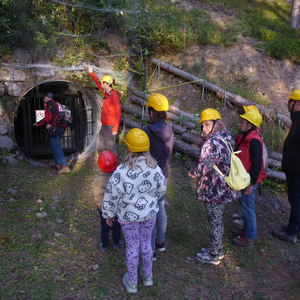 Eine Gruppe von Menschen in gelben Schutzhelmen versammelt sich um den Eingang eines Tunnels.
