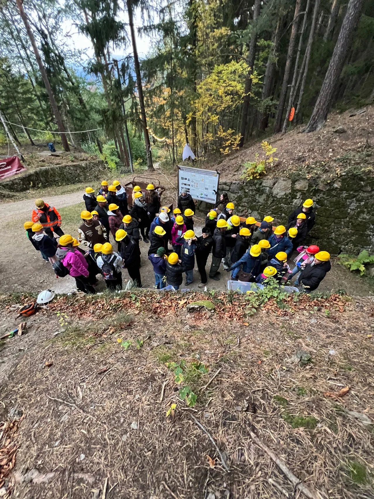 Eine Gruppe von Menschen in gelben Schutzhelmen versammelt sich in einem Wald, möglicherweise für eine Tour oder eine Bildungsaktivität.