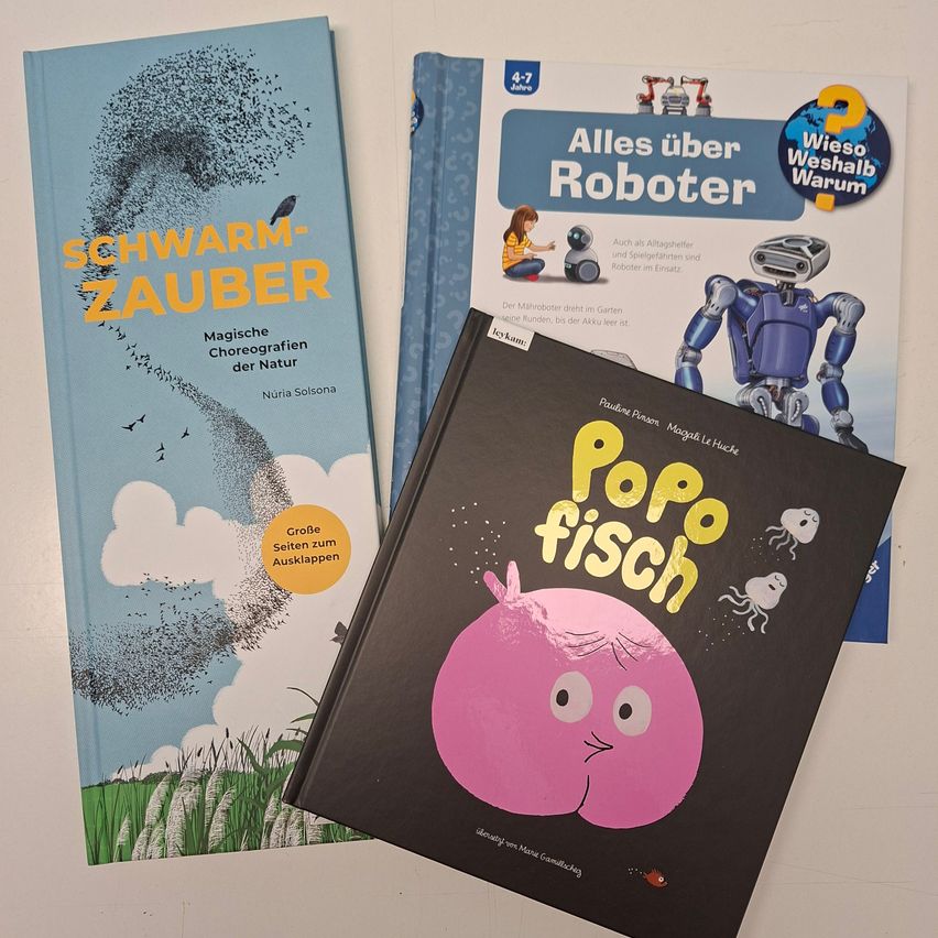 Drei Bücher auf einer weißen Oberfläche: 'Schwarm-Zauber', 'Alles über Roboter' und 'Popo Fisch'. Jedes Buch hat ein eigenes Cover-Design.