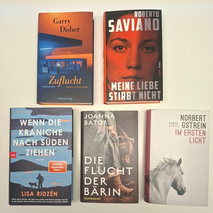 Fünf Bücher sind nebeneinander auf einem weißen Hintergrund platziert. Die oberste Reihe enthält zwei Bücher, eines mit dem Titel 'Zuflucht' und das andere 'Meine Liebe Stirbt Nicht'. Die untere Reihe hat drei Bücher, darunter eines von Joanna Bator, ein zweites von Norber Gstrein und das letzte von Lisa Ridzén.