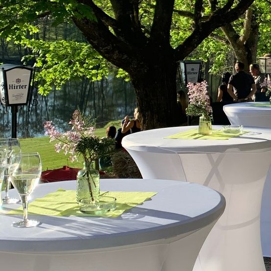 Eine Gartenparty mit weißen Tischen und Blumenarrangements unter einem Baum, mit einem See im Hintergrund.