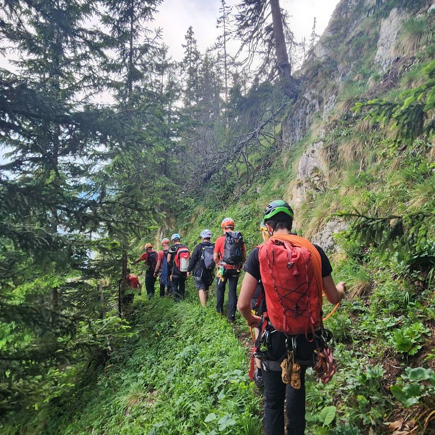 Eine Gruppe von Wanderern mit Rucksäcken und Sicherheitsausrüstung navigiert einen anspruchsvollen Pfad durch einen dichten Wald.