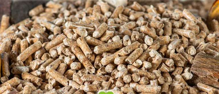 Ein Haufen Holzpellets mit Text 'Ende der Einkaufsgemeinschaft bis Ende Mai'. Lieferung bis Ende August 2026 möglich. Logo mit grünem Herz und Text 'Steirer Pellets'.