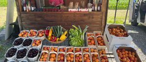 Bild enthält, Adult, Female, Person, Woman, Wheel, Fruit, Car, Market, Face, Farmer's Market