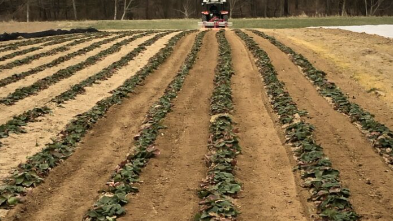 v1_migrated_image_2339690