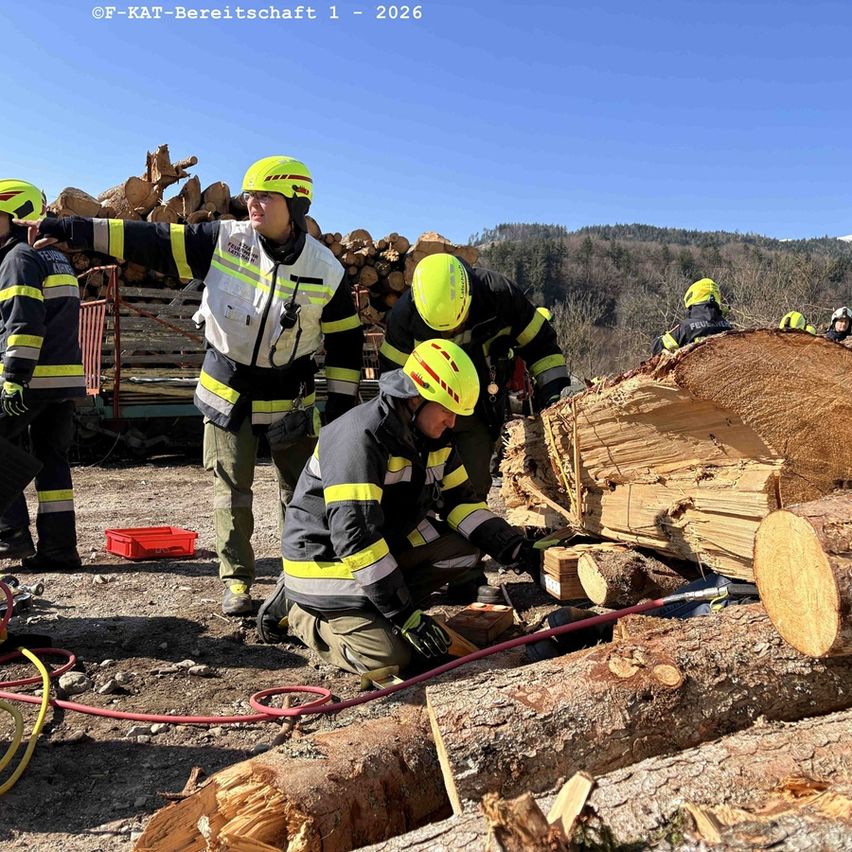 Ein Team von Feuerwehrleuten arbeitet im Freien an Baumstämmen, mit einem großen Haufen Holz hinter ihnen. Sie tragen gelbe Helme und Uniformen, einer benutzt eine Kettensäge.