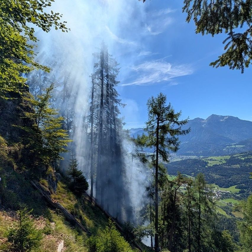 A mountain landscape with a forest on a sunny day, smoke rising from the trees.
