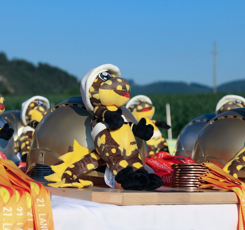 Stuffed animals wearing construction helmets and medals sit on a wooden block with ribbons in front of a mountain range.