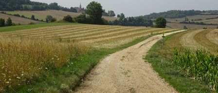 Ein Schotterweg schlängelt sich durch ein weitläufiges Feld mit Ernte auf einer Seite und üppigem Grün auf der anderen. In der Ferne ist eine Kirche zwischen den Bäumen sichtbar.
