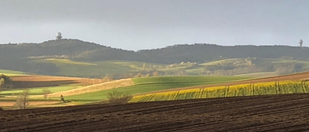 Eine Landschaft mit sanften Hügeln im Hintergrund, gelben und grünen Feldern im Vordergrund, unter einem grauen Himmel.