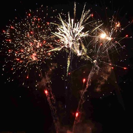 v1_migrated_image_31204076