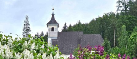 Eine Kirche mit einem Turm und einem Glockenturm steht inmitten üppiger Grünflächen, umgeben von lebhaften weißen und violetten Fliederbüschen. Im Hintergrund befindet sich ein dichter Wald.