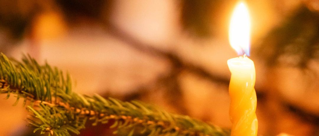 Eine brennende gelbe Kerze auf einem Weihnachtsbaum, umgeben von verschwommenem grünem Laub.