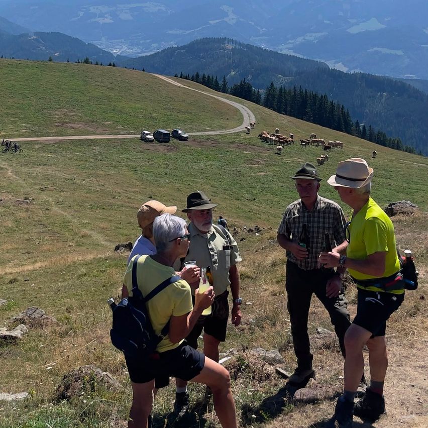A group of hikers, dressed in casual outdoor clothing, are standing on a grassy hillside, overlooking a valley with a winding road and a herd of sheep. One man holds a glass of a beverage, while another holds a bottle.