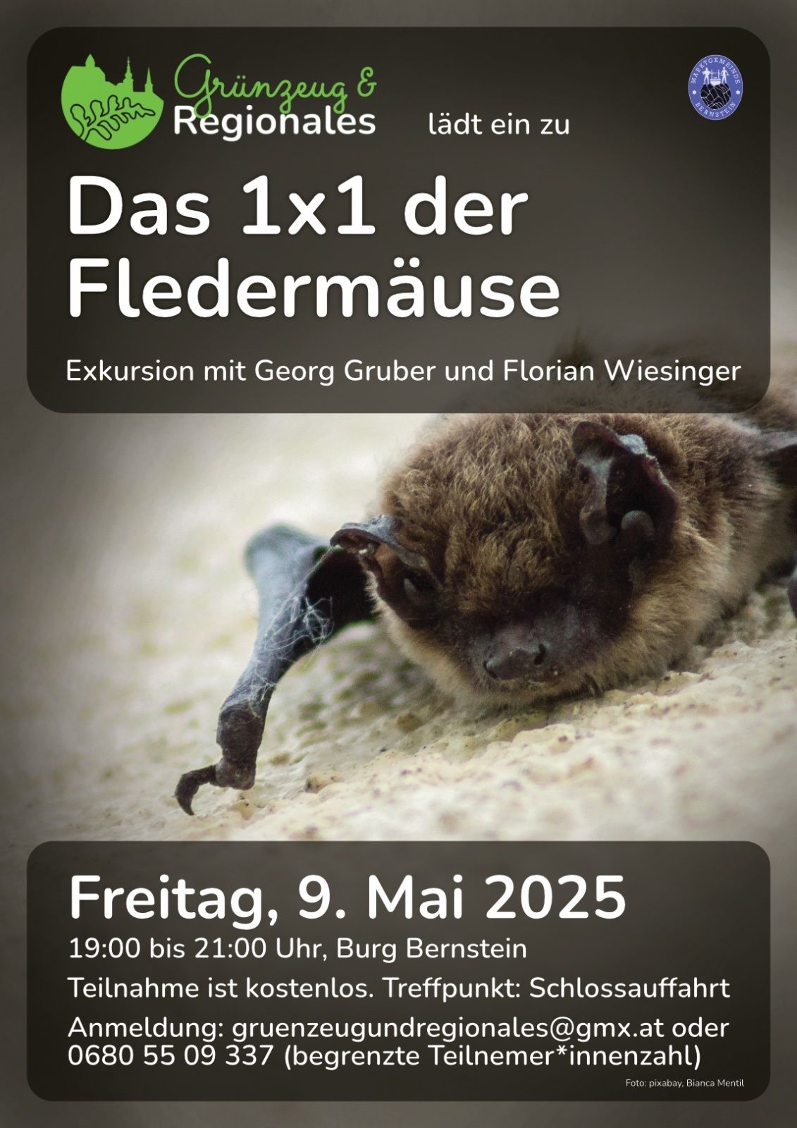 Ein Plakat für eine geführte Fledermaus-Exkursion mit Georg Gruber und Florian Wiesinger am Freitag, 9. Mai 2025, von 19:00 bis 21:00 Uhr auf Burg Bernstein.