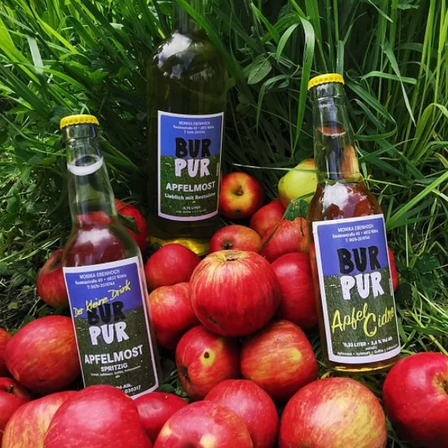 Bild enthält, Bottle, Apple, Fruit, Alcohol, Beer, Beverage, Beer Bottle, Liquor, Pear, Nature