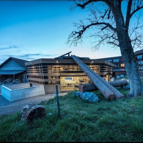 Bild enthält, Architecture, Building, Outdoors, Shelter, Wood, Nature, Hotel, Urban, City