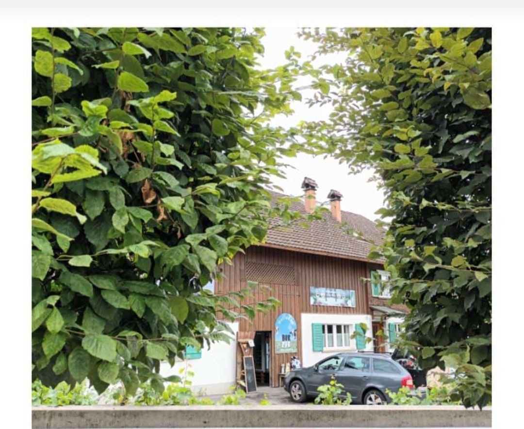 Ein braunes Holzgebäude mit zwei Schornsteinen steht zwischen grünen Bäumen. Das Gebäude hat weiße Wände und grüne Fenster. Ein graues Auto ist vor dem Gebäude geparkt. Ein Schild an der Wand steht für Bike PSB.