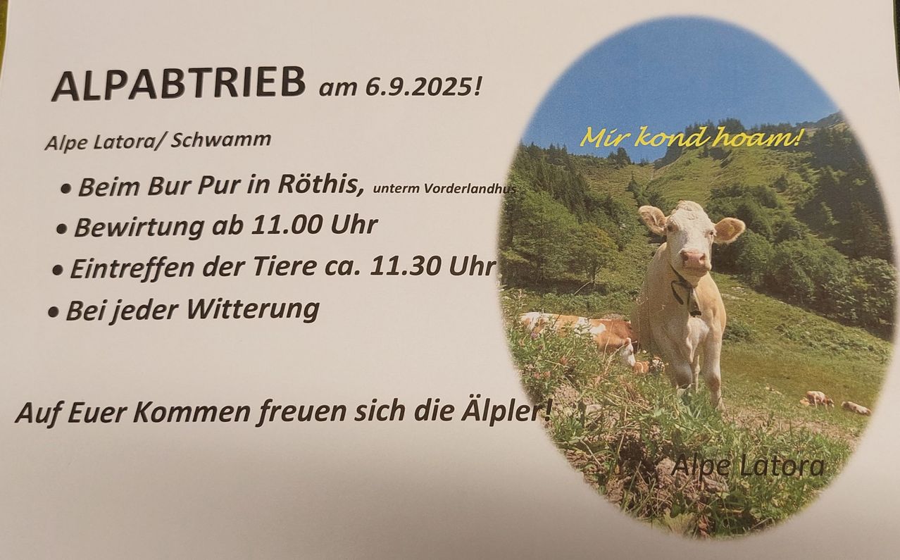 Ein Plakat für eine Viehtrieb-Veranstaltung am 6.9.2025 in Rothis, mit einer Kuh auf einer Wiese und Bergen im Hintergrund.