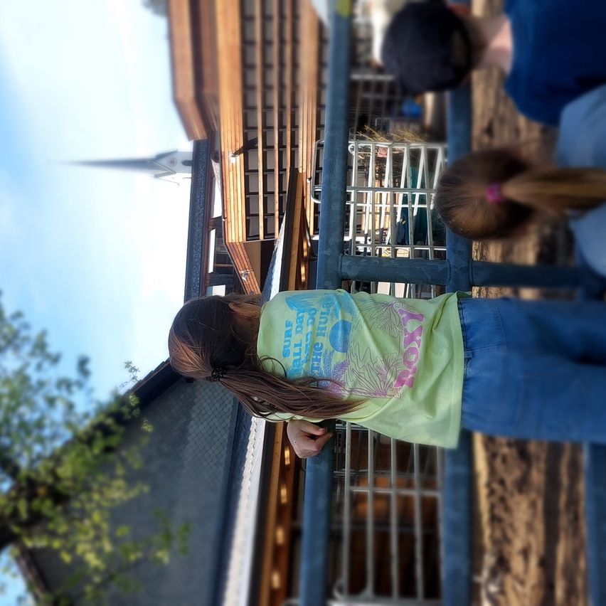 A young girl is peering over a fence, looking upwards at a building. Behind her, another girl is looking down. The sky is clear, and a building with a steeple is visible in the background.