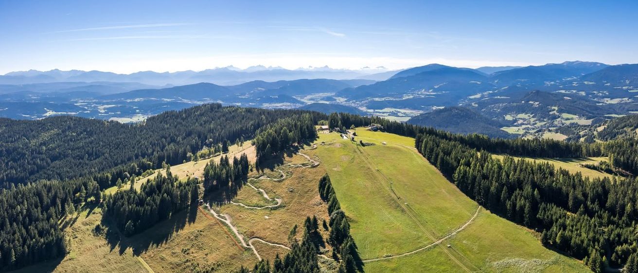 Land, Nature, Outdoors, Tree, Vegetation, Woodland, Landscape, Scenery, Panoramic, Aerial View