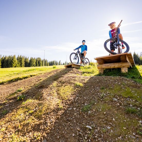 Person, Bicycle, Vehicle, Machine, Wheel, Grass, Plant, Outdoors, Cycling, Nature