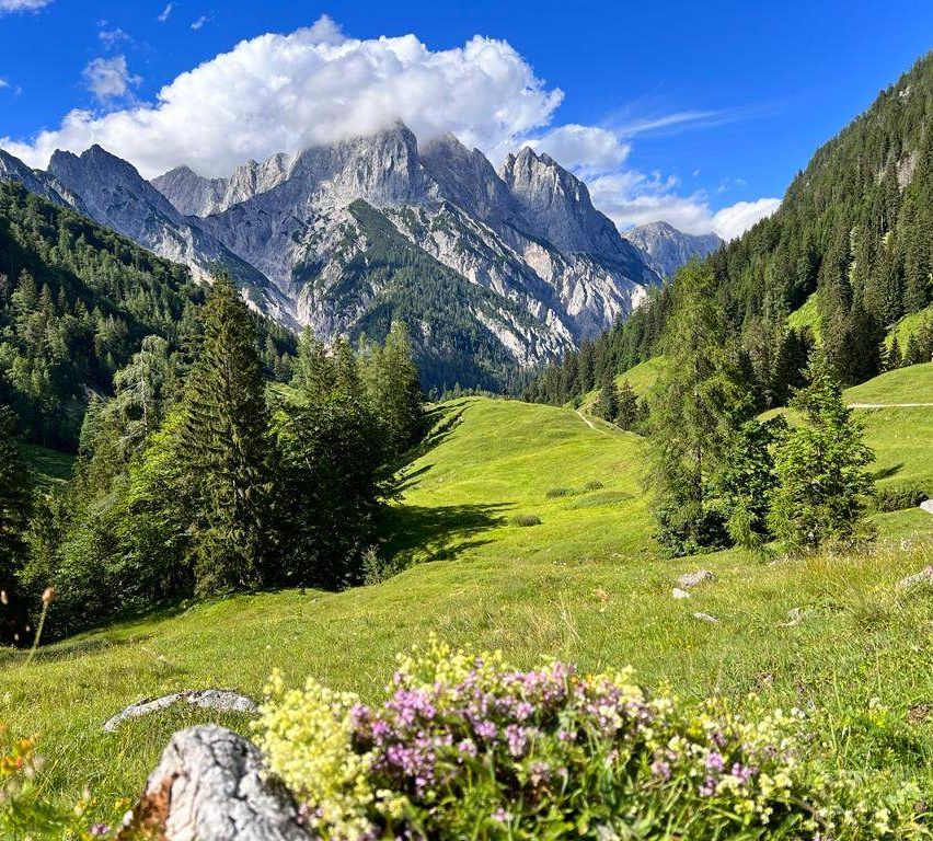 Berge erheben sich über ein üppig grünes Tal. Im Vordergrund zeigt sich ein grasbewachsener Hügel mit Wildblumen, während Tannen die Hänge säumen. Ein blauer Himmel mit verstreuten Wolken fügt der friedlichen Atmosphäre bei.