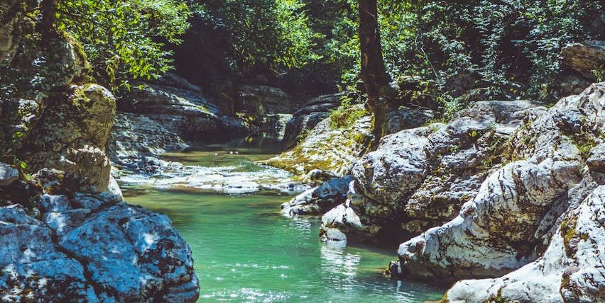 Bild enthält, Rock, Vegetation, Jungle, Nature, Outdoors, Rainforest, Stream, Water, Creek, Wilderness