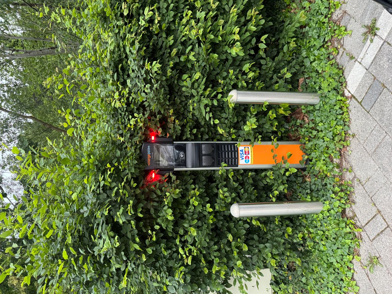 Ein Parkgebühren-Terminal ist teilweise von überwucherten Büschen verdeckt, rote Lichter zeigen an, dass es in Gebrauch ist.