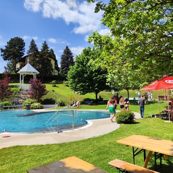 Ein sonniger Tag an einem Außenpool. Mehrere Menschen schwimmen und entspannen. Picknicktische und Sonnenschirme sind auf der Rasenfläche aufgestellt. Bäume und eine Laube im Hintergrund.