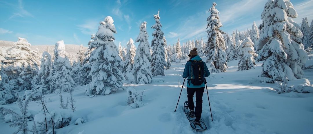 Eine Person bewegt sich im Schneeschuhwandern durch einen verschneiten Wald, umgeben von schneebedeckten Kiefern unter einem blauen Himmel.