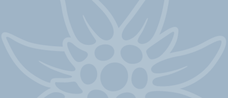 Ein Bild mit hellblauem Hintergrund zeigt ein stilisiertes Blumendesign, das den Wort mixnitz hervorhebt. Die Blume hat mehrere Blütenblätter und kreisförmige Elemente.