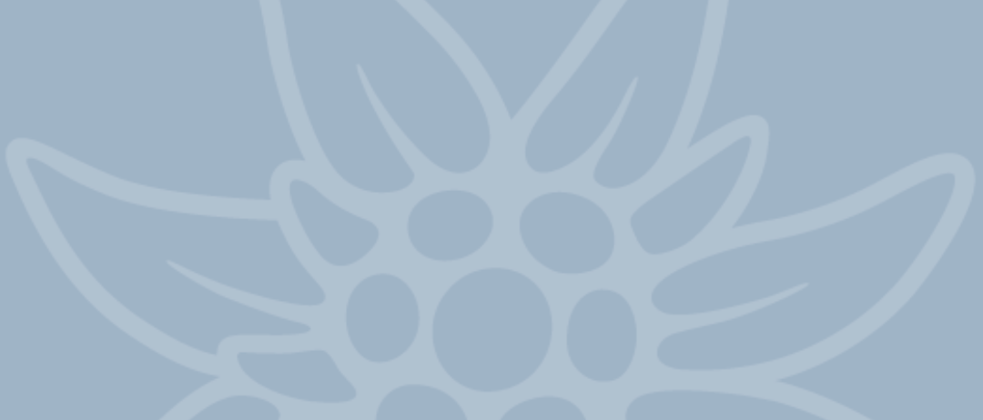 Ein Bild mit hellblauem Hintergrund zeigt ein stilisiertes Blumendesign, das den Wort mixnitz hervorhebt. Die Blume hat mehrere Blütenblätter und kreisförmige Elemente.