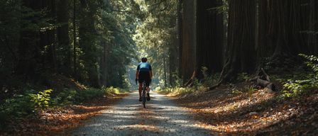 Eine Person fährt auf einem Kiesweg im Wald mit dem Fahrrad. Der Weg ist von hohen Bäumen und Pflanzen umgeben.