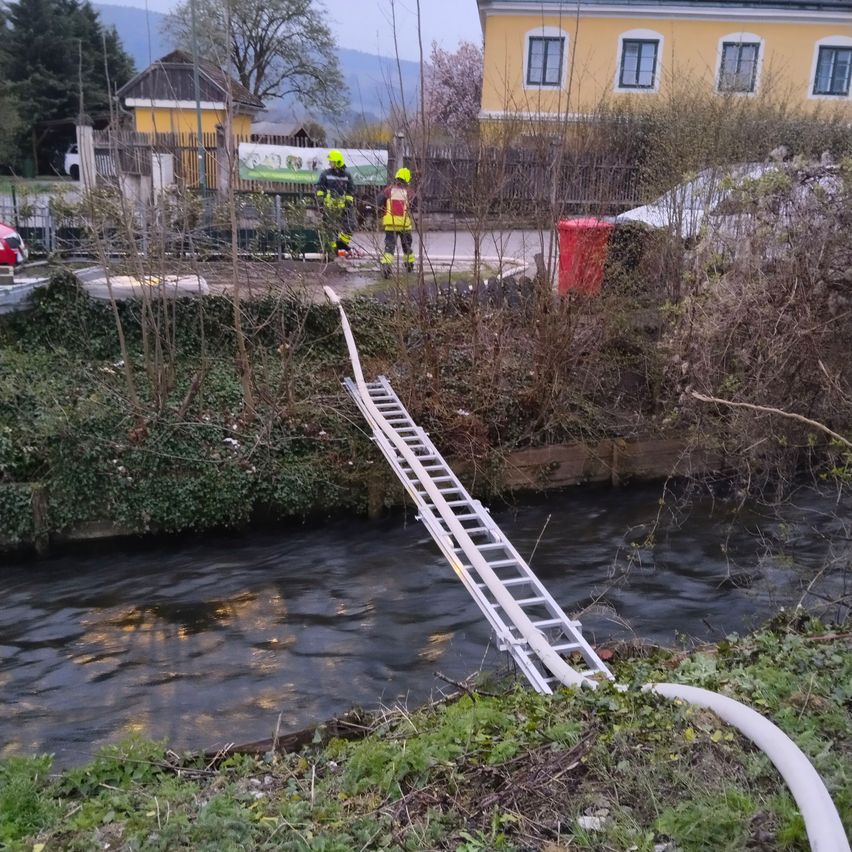 Zwei Feuerwehrleute stehen am Flussufer mit einer Leiter ins Wasser ausgestreckt. Ein roter Container ist in der Nähe. Ein Haus und Grünflächen umgeben die Szene.