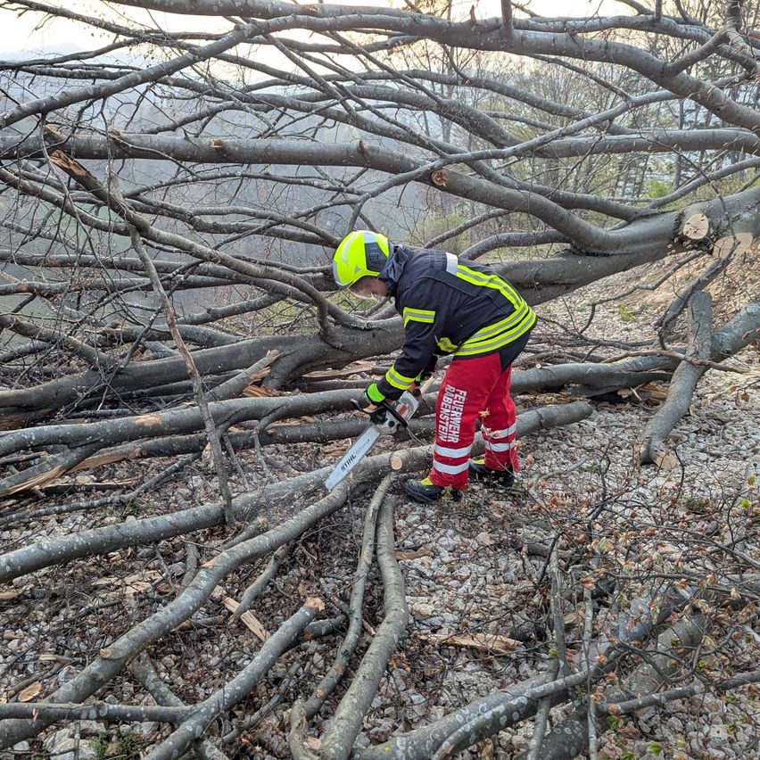 Ein Feuerwehrmann, in Schutzausrüstung, schneidet mit einer Kettensäge einen umgestürzten Baum auf einem felsigen Untergrund.