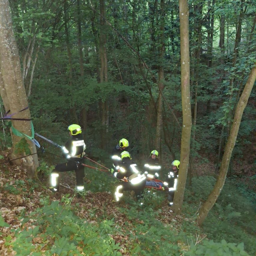 Feuerwehrleute retten eine Person im Wald mit Seilen und Gurten. Sie sind mit gelben Helmen und reflektierenden Westen ausgestattet.