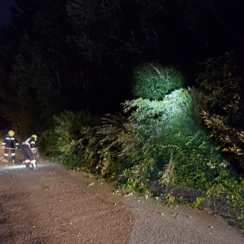 Zwei Feuerwehrleute stehen nachts auf einer dunklen Straße, beleuchtet von ihren Taschenlampen, mit einem umgestürzten Baum und dichtem Laub in der Nähe.