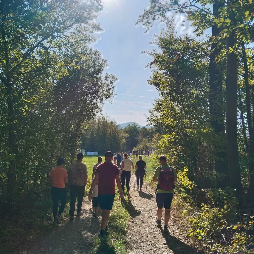 Eine Gruppe von Menschen geht auf einem Lehmweg im Wald. Die Sonne scheint hell, und es gibt Bäume auf beiden Seiten des Weges.