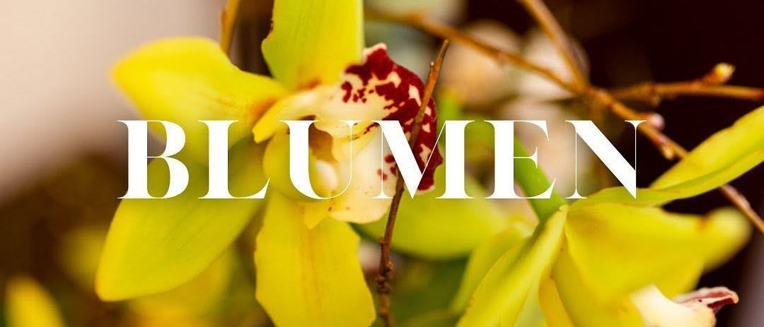 Ein Nahaufnahme von gelben Orchideen mit dem Wort 'Blumen' in weißer Schrift. Die Blumen haben einen roten Punkt in der Mitte.