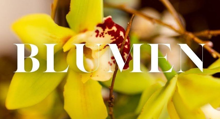Ein Nahaufnahme von gelben Orchideen mit dem Wort 'Blumen' in weißer Schrift. Die Blumen haben einen roten Punkt in der Mitte.