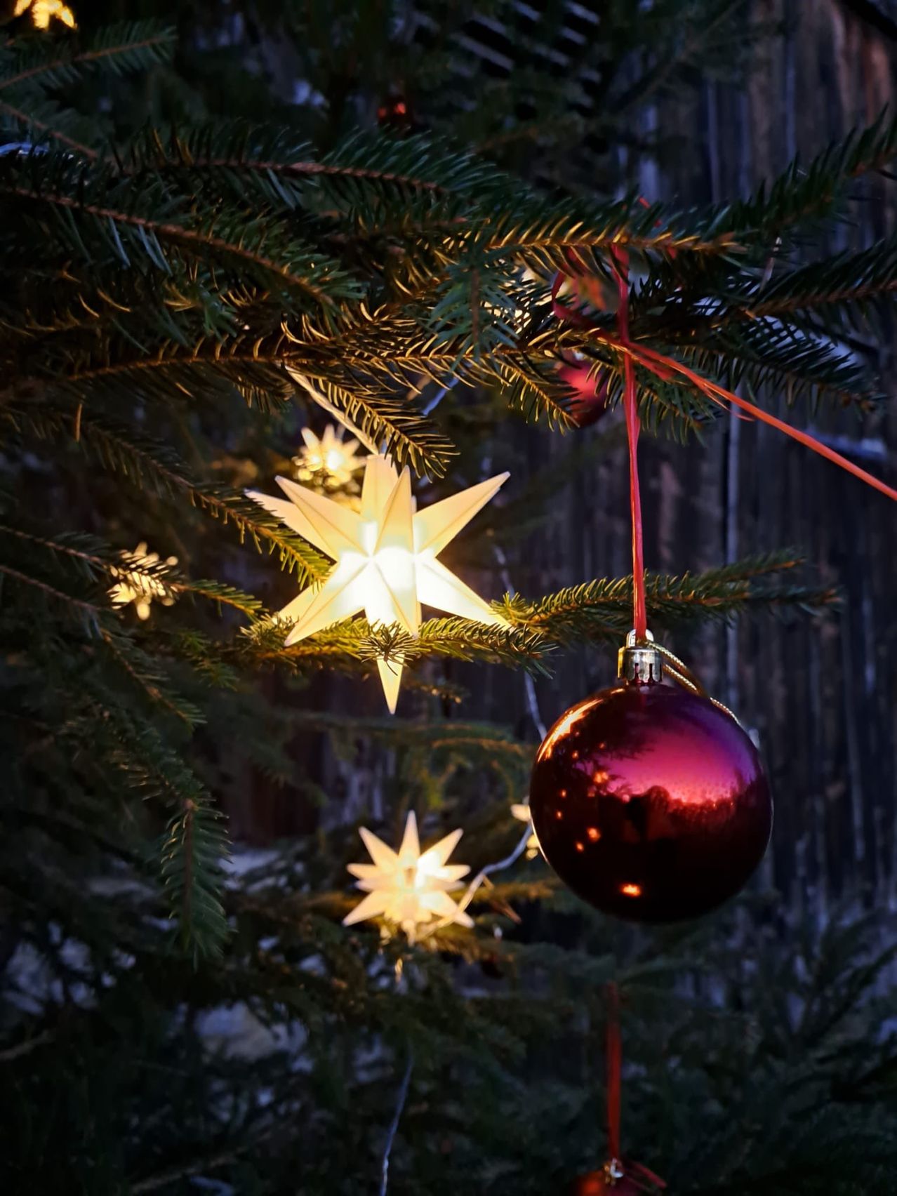Ein Nahaufnahme von einem Weihnachtsbaum mit einem roten Kugelornament und zwei leuchtenden Sternen. Der Baum ist dunkelgrün mit etwas Schnee am Boden.