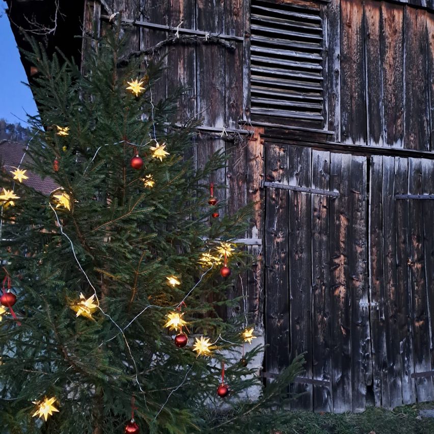 Ein Weihnachtsbaum mit Dekorationen und Lichtern steht vor einer alten Scheune in der Dämmerung.